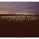 Illustration for article titled 1,301 Florescent Bulbs Lit Solely by Magnetic Fields